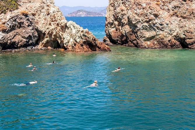 Dolphin Island Boat Trip – Swim, Sun & Lunch Included - Dolphins and turtles: you can plan, but you can’t guarantee
