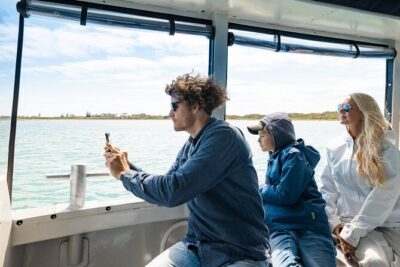 Dolphin, Sea Lion and Penguin Island Cruise - Shoalwater Islands Marine Park: where the spotting game gets real