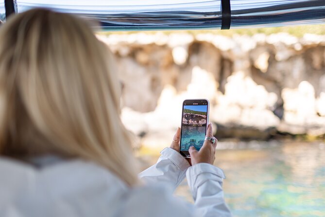 Dolphin, Sea Lion and Penguin Island Cruise - Guides and spotting help: the difference between seeing nothing and seeing something