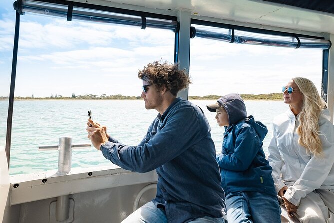 Dolphin, Sea Lion and Penguin Island Cruise - Shoalwater Islands Marine Park: where the spotting game gets real