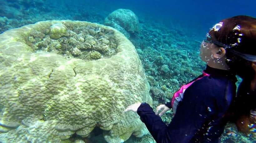 El Nido: Island Hopping Tour B Cudognong Cave & More - Key Highlights That Matter on the Ground