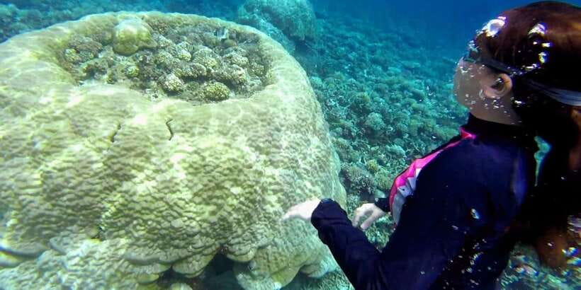 El Nido: Island Hopping Tour B Cudognong Cave & More - Entalula Island White Sand: Your Calm Finale