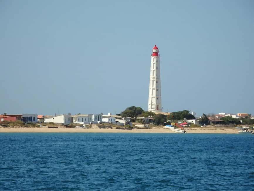 Faro: Ria Formosa - The Grand 3 Islands Boat Tour - Back on Board for the Return Cruise: Calm Channels and Bird Time