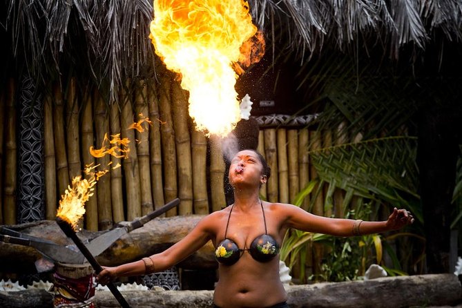 Fiji Cultural Full Day Island Cruise With Lunch & Transfers - Price and value: what $115.30 buys you in a single day