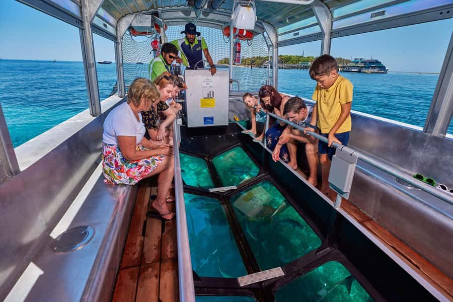 From Cairns: Full-Day Green Island Cruise - Lunch on Green Island: Fuel, Timing, and Not Wasting Reef Hours