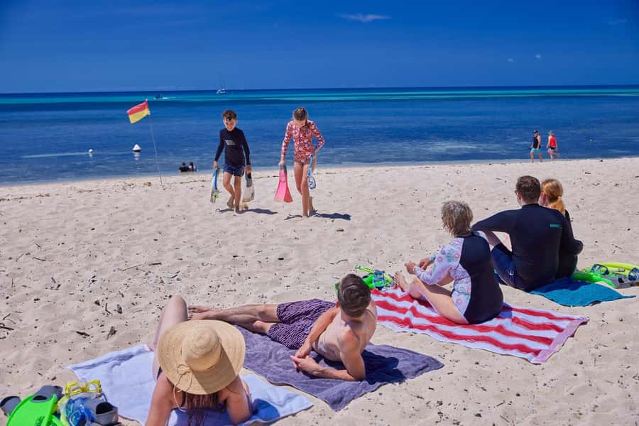 From Cairns: Full-Day Green Island Cruise - What You Might See Underwater: Fish, Coral, and Turtle Moments