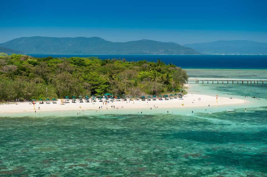 From Cairns: Full-Day Green Island Cruise - Who Should Book This Full-Day Cairns Cruise