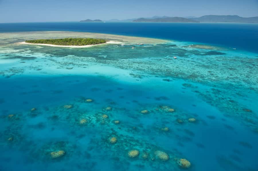 From Cairns: Full-Day Green Island Cruise - Arriving at Green Island National Park: Beaches, Walks, and Breathing Room