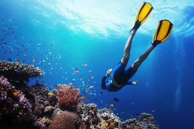 From Cebu: Island Hopping to 3 islands with BBQ lunch - Pickup timing and getting to the jump-off point in Cebu City or Mactan