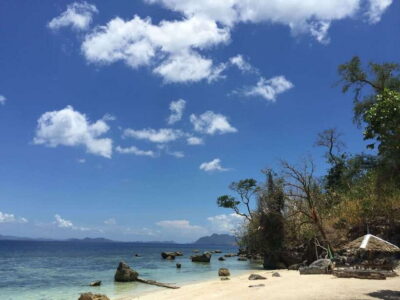 From Coron: Island Hopping Boat Day Trip with Buffet Lunch - Kayangan Lake and Twin Lagoon: where the day turns into real swimming