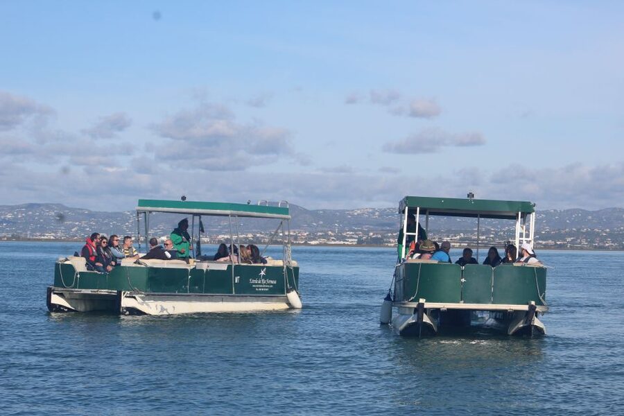 From Faro: 4 Stops, 3 Islands in Ria Formosa Catamaran Tour - Key highlights that make this tour worth your time