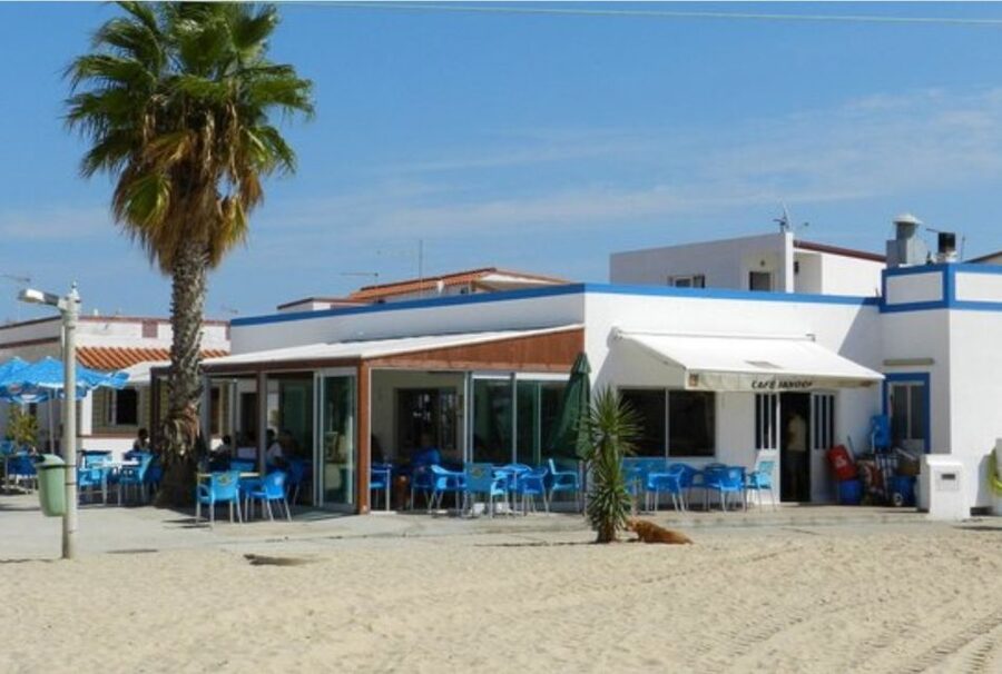 From Faro: 4 Stops, 3 Islands in Ria Formosa Catamaran Tour - The marsh bird moments between islands