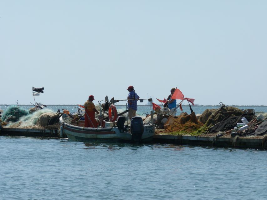 From Faro: 4 Stops, 3 Islands in Ria Formosa Catamaran Tour - Stop 3: Ilha da Culatra and why the fishing village time matters