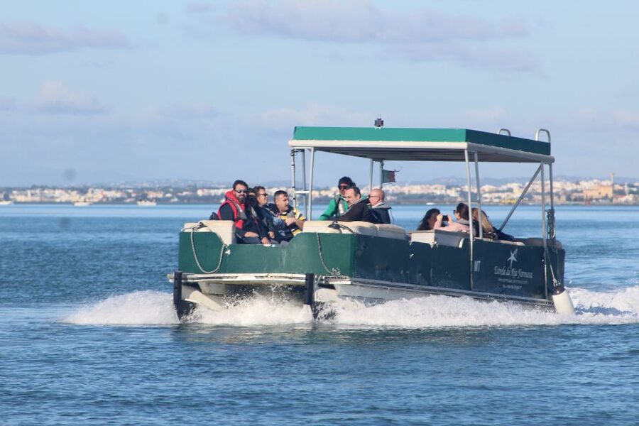 From Faro: 4 Stops, 3 Islands in Ria Formosa Catamaran Tour - Catamaran comfort and what’s included (and what you’ll still need)
