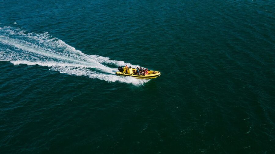 From Faro: Ria Formosa Hop-On Hop-Off 3 Islands Cruise - From Faro: what this hop-on hop-off day really gives you