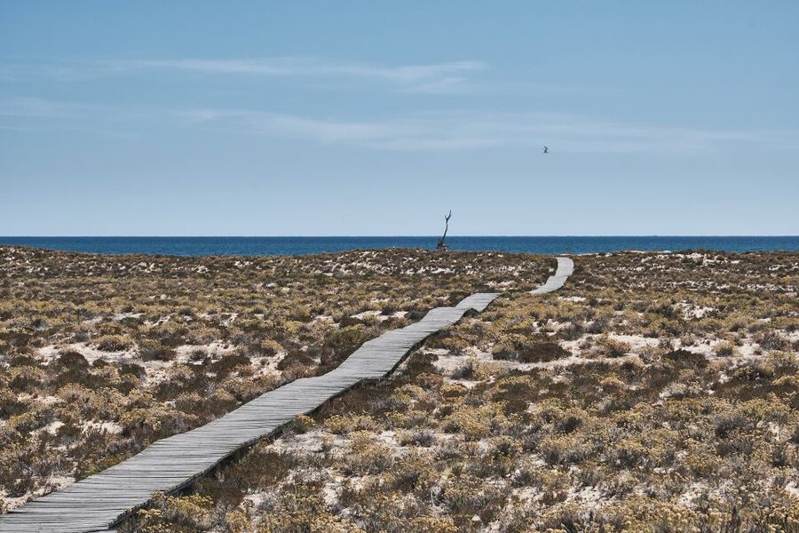 From Faro: Ria Formosa Hop-On Hop-Off 3 Islands Cruise - Stop 3: Culatra Island, oyster farms, and traditional fishing life