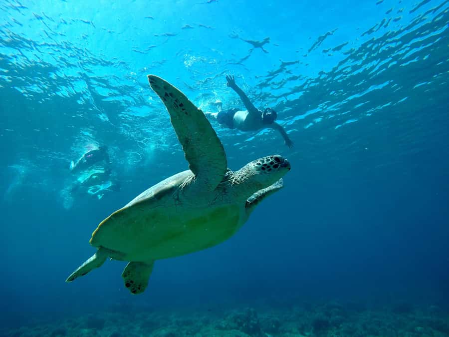 From Gili Air : 3 Islands Snorkeling Trip with Sea Turtles - From Gili Air to Three Stops: How the 4-Hour Route Really Works