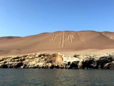 From Paracas: Ballestas Island Cruise & Paracas Reserve Tour - Ballestas Islands cruise: seals, penguins, and birds close up