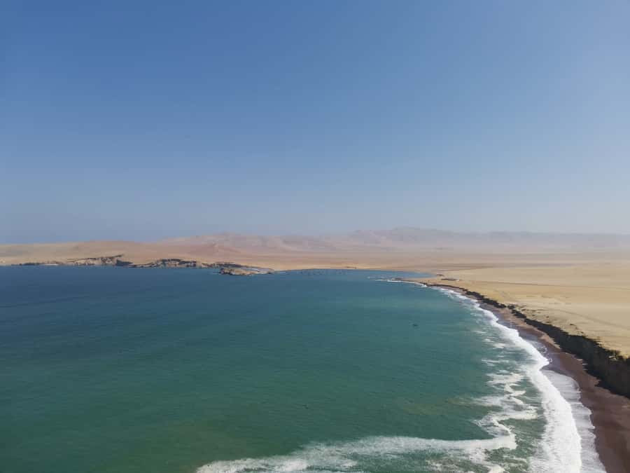 From Paracas: Ballestas Island Cruise & Paracas Reserve Tour - Price and value: what $55 really means for your day