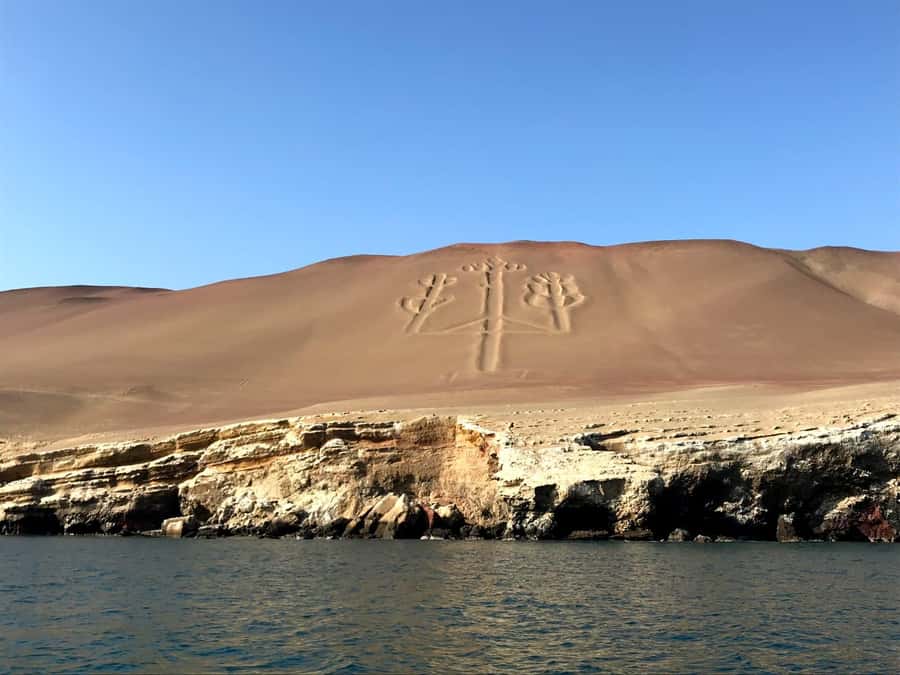 From Paracas: Ballestas Island Cruise & Paracas Reserve Tour - Ballestas Islands cruise: seals, penguins, and birds close up