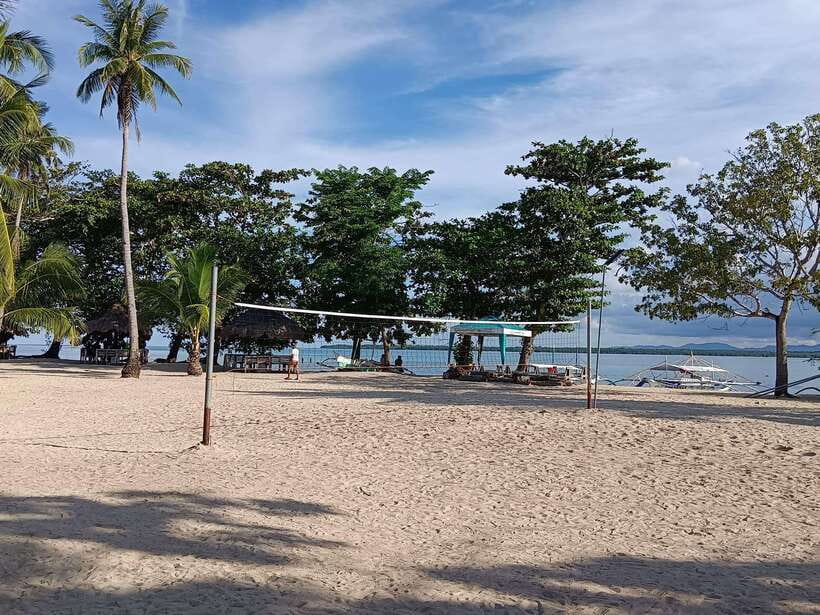 From Puerto Princesa: Honda Bay Island Hopping Full-Day Tour - Starfish Island: Why That Shore Stop Isn’t Just a Photo Op