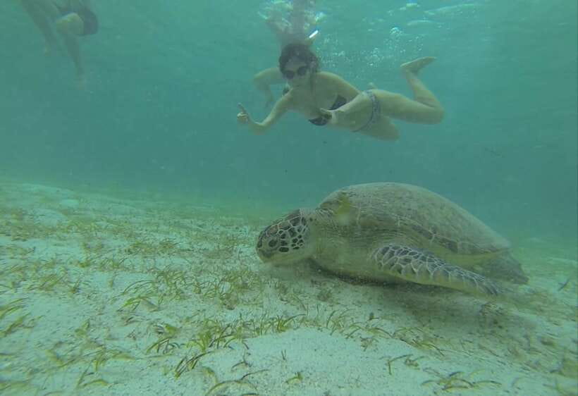 From Puerto Princesa: Port Barton & Island Hopping Day Trip - Port Barton, Not Port Crowds: Why This Day Trip Works