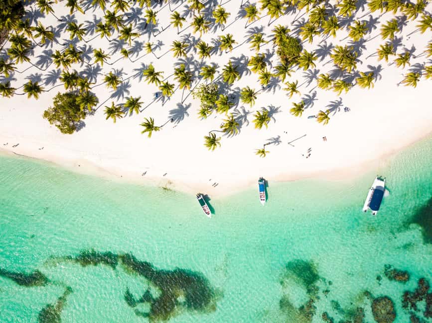 From Punta Cana: Saona Island Cruise with Private Beach - Key Things I’d Prioritize on This Saona Day