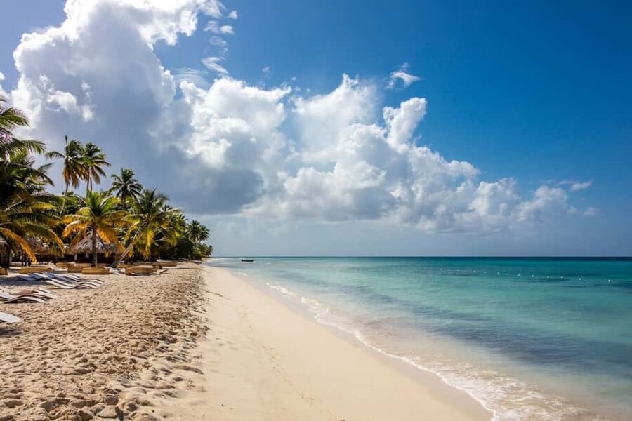 From Punta Cana: Saona Island Cruise with Private Beach - Who Should Book, and Who Should Skip This Saona Cruise