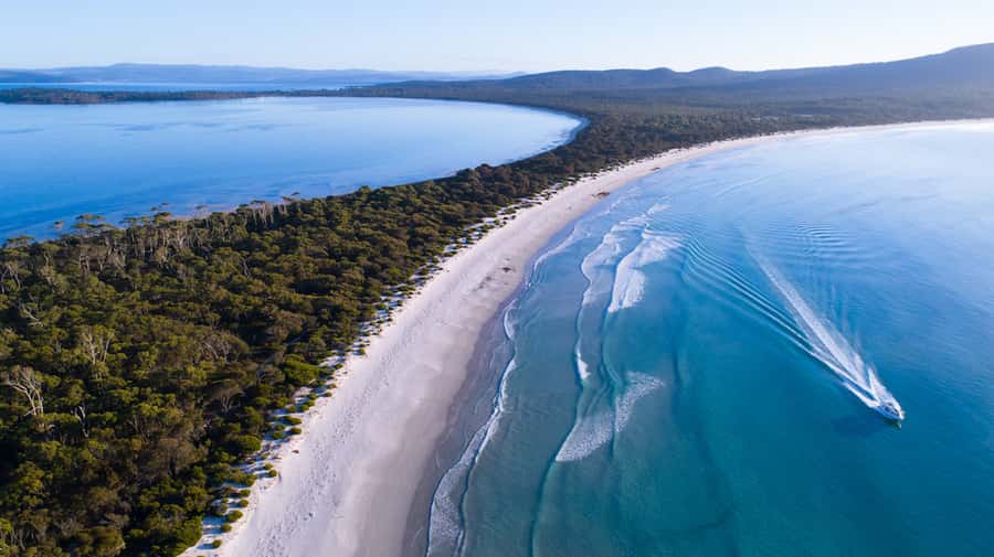 From Triabunna: Maria Island Cruise & Guided Walk with Lunch - Weather and seasickness reality check (so you’re not surprised)