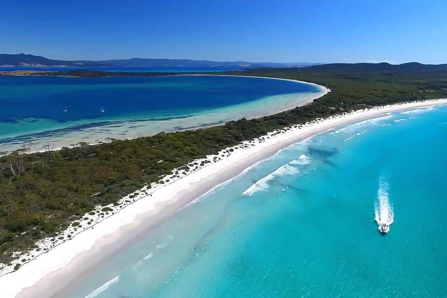 From Triabunna: Maria Island Cruise & Guided Walk with Lunch - Price and value: what $208 gets you (and why it’s fair)