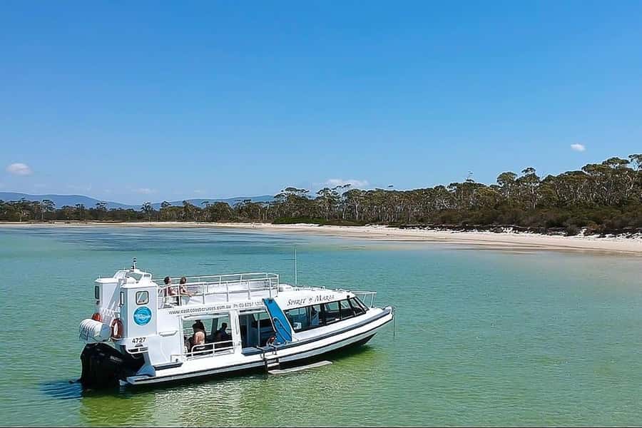 From Triabunna: Maria Island Cruise & Guided Walk with Lunch - Meeting in Triabunna: the morning that keeps the day relaxed
