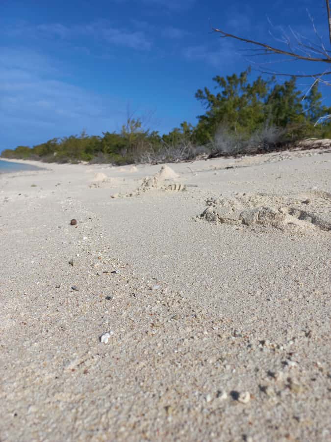 Grand Baie: Three Islands Private Boat Trip and Beach BBQ - Coin de Mire snorkeling: how to get more from the reef time