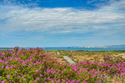 Guided Nature Tour & Hop On Hop Off 3 Islands - Meeting point and timing: how the day runs
