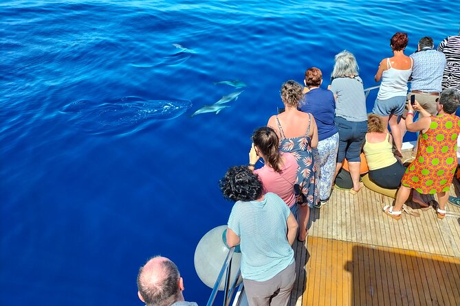 Half Day Madeira Island Cruise with Lunch - The pace: organized, relaxed, and sometimes light on narration
