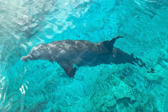 Half Day Snorkeling, Sightseeing & Island Hopping Private Charter (Afternoon) - Cruising Grace Bay Beach: The Views You Can’t Replicate From Shore