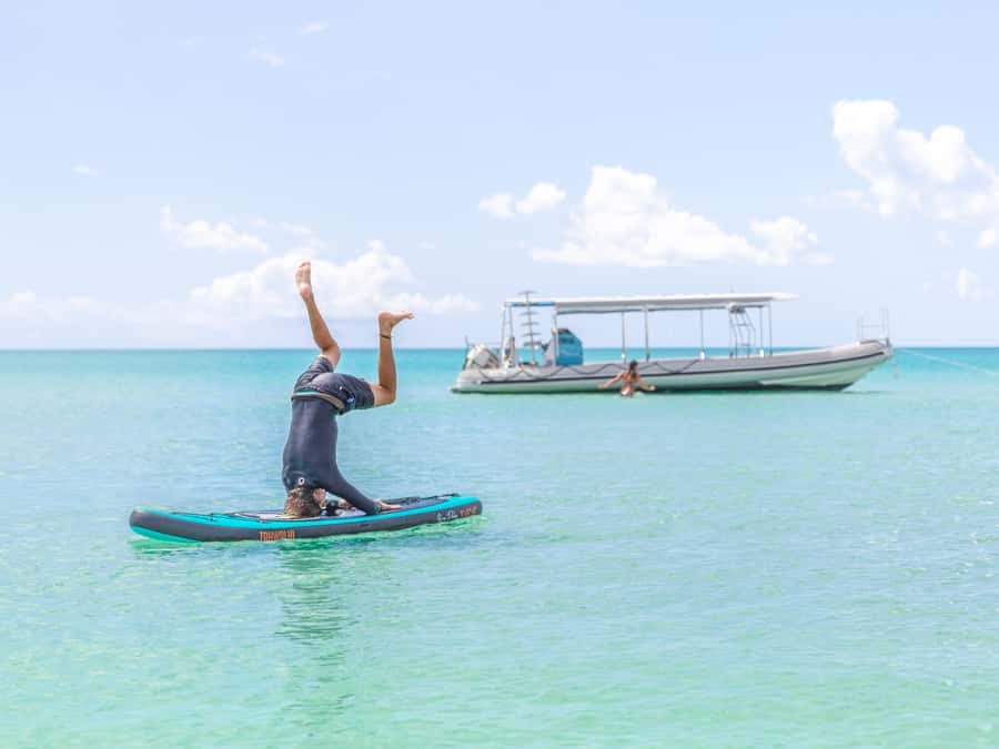Hervey Bay: Exclusive Island Hopper Adventure Cruise - Should you book Salty Safaris for Hervey Bay?