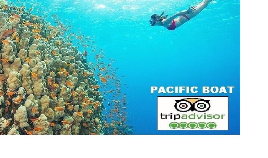 Hoi An/Da Nang: Snorkeling and Island Hopping Speedboat Tour - Key things to know before you go