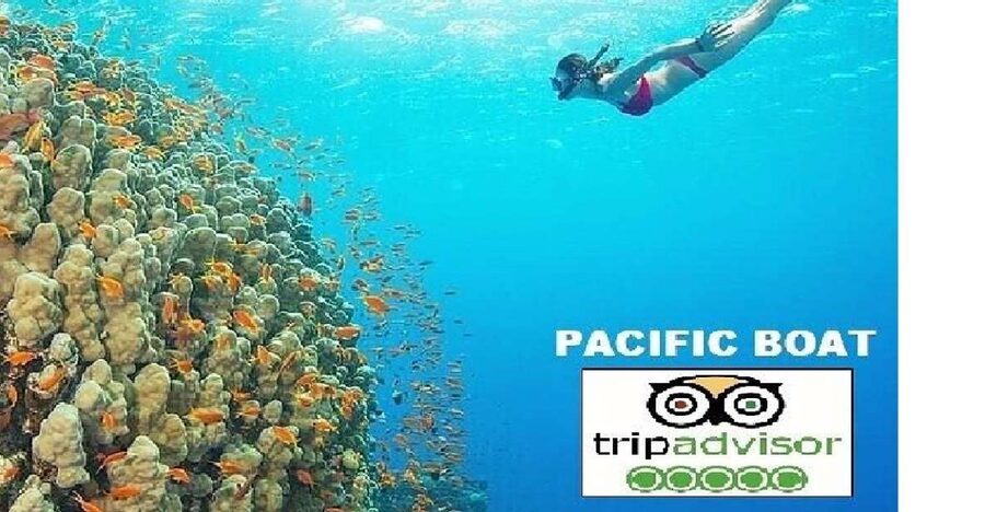 Hoi An/Da Nang: Snorkeling and Island Hopping Speedboat Tour - Speedboat to the Cham Islands: fast water, less waiting