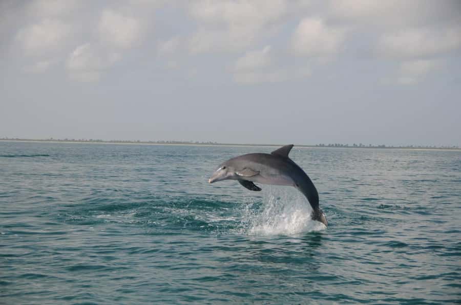 Holbox: Three Islands Tour - Key things I’d watch for before you go