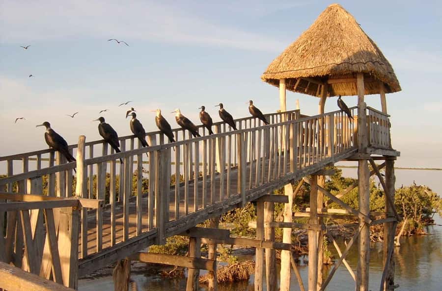 Holbox: Three Islands Tour - How Yalahau Lagoon makes this tour feel worth the short time