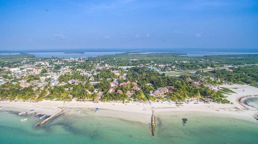 Holbox: Three Islands Tour - Isla Pájaros (Morena Island): bird heaven without stepping onto it