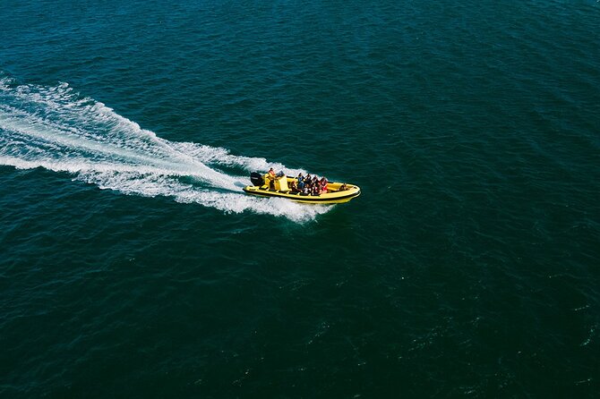 Hop On Hop Off 3 Islands: Deserta, Farol and Culatra - The Hop-On Hop-Off Rhythm That Makes This Work