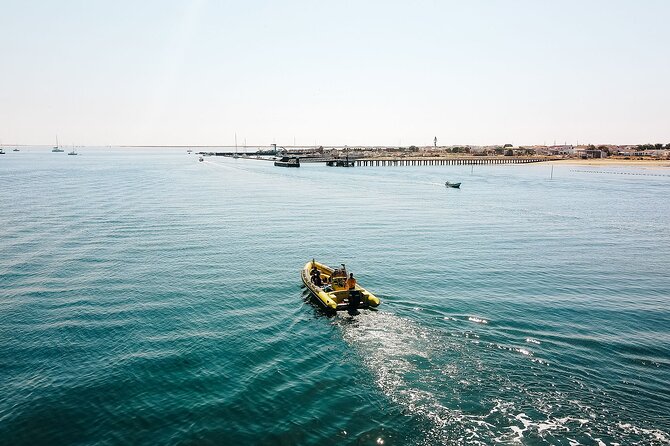 Hop On Hop Off 3 Islands: Deserta, Farol and Culatra - Stop 1: Ilha Deserta (Animaris) and the Wildlife-First Island