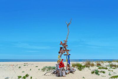 Hop On Hop Off 3 Islands: Deserta, Farol and Culatra - Starting From Cais das Portas do Mar in Faro