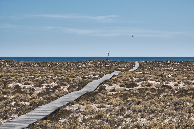 Hop On Hop Off 3 Islands: Deserta, Farol and Culatra - Stop 2: Ilha do Farol and the Lighthouse of Santa Maria