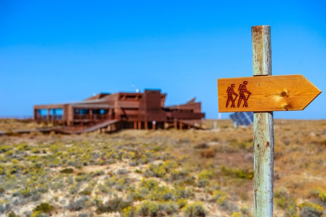 Hop On Hop Off 3 Islands: Deserta, Farol and Culatra - Stop 3: Ilha da Culatra and the Year-Round Island Community
