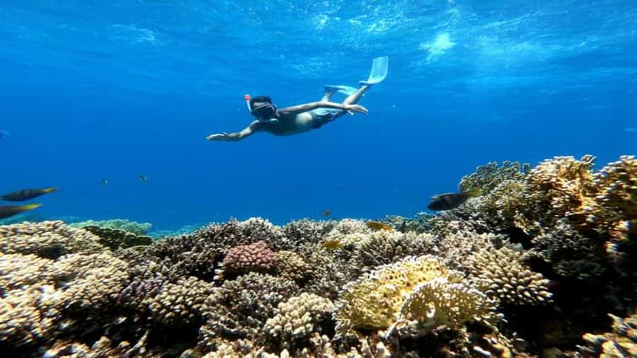 Hurghada: Orange & Giftun Island Cruise with Massage & Lunch - What this $53 price covers (and what that means for your day)