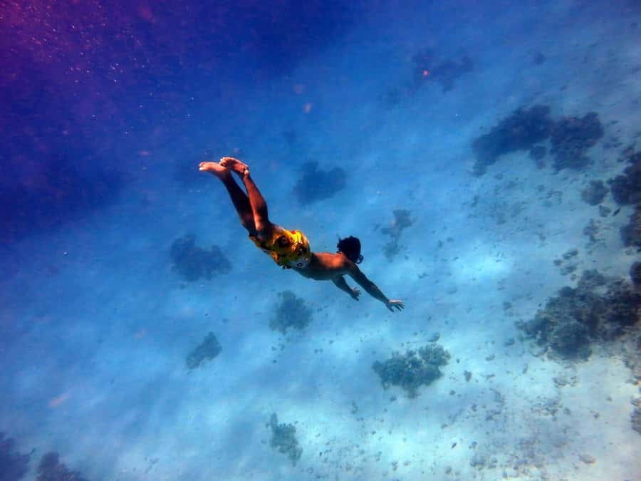 Hurghada: Premium Island Cruise with Lunch and snorkeling - Premium island cruise in Hurghada: the value you’re really buying