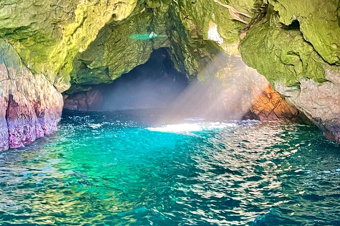 Ile Des Phoques and Maria Island Cruise and Walk Day Tour with Lunch - Maria Island: A 2-Hour Dose of Wildlife and History in One Walk
