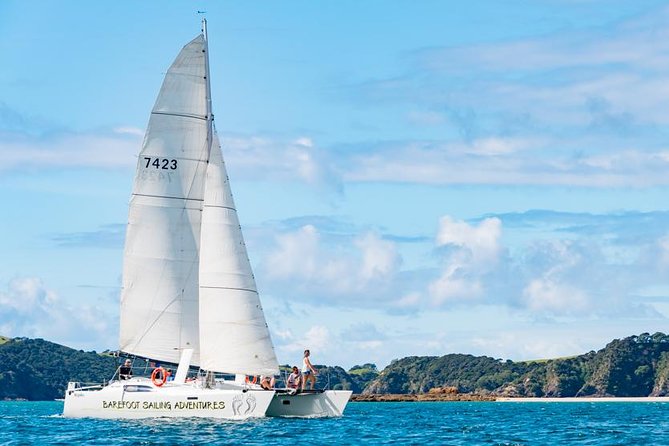Island Hopper Day Cruise - sailing to wildlife sanctuary island - 6 hr cruise - Key Highlights You’ll Actually Care About